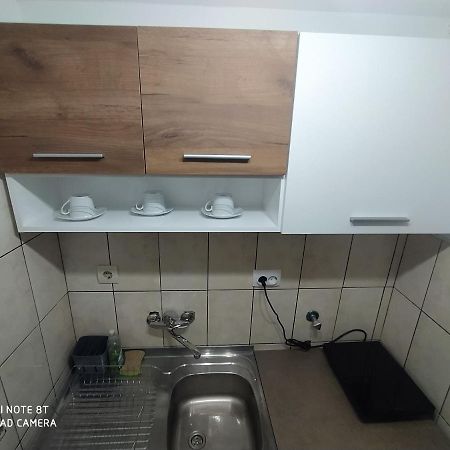 Apartman Studio Pavle I Petra Sremski Karlovci Ngoại thất bức ảnh