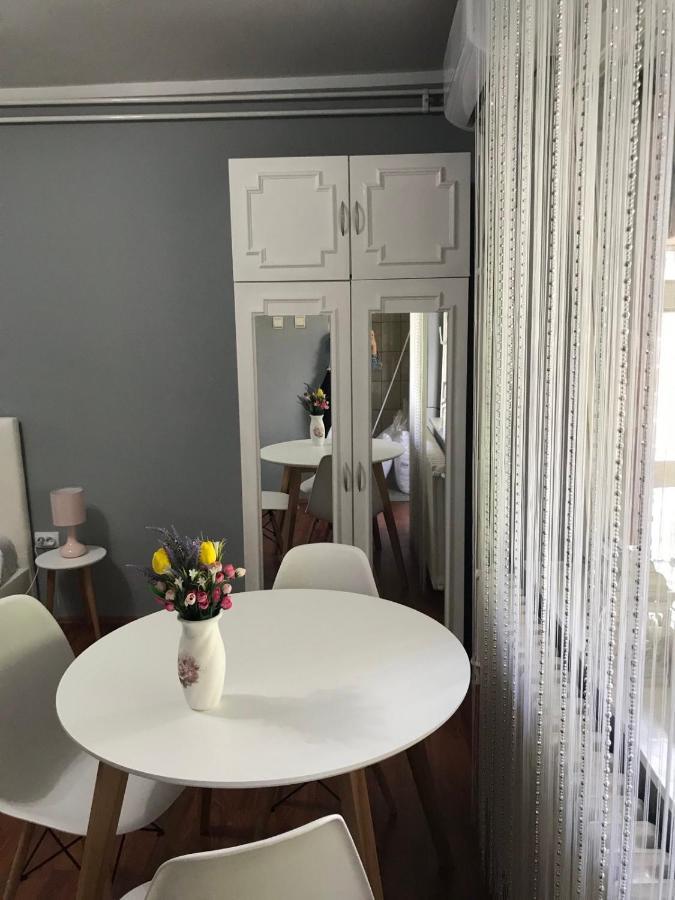 Apartman Studio Pavle I Petra Sremski Karlovci Ngoại thất bức ảnh