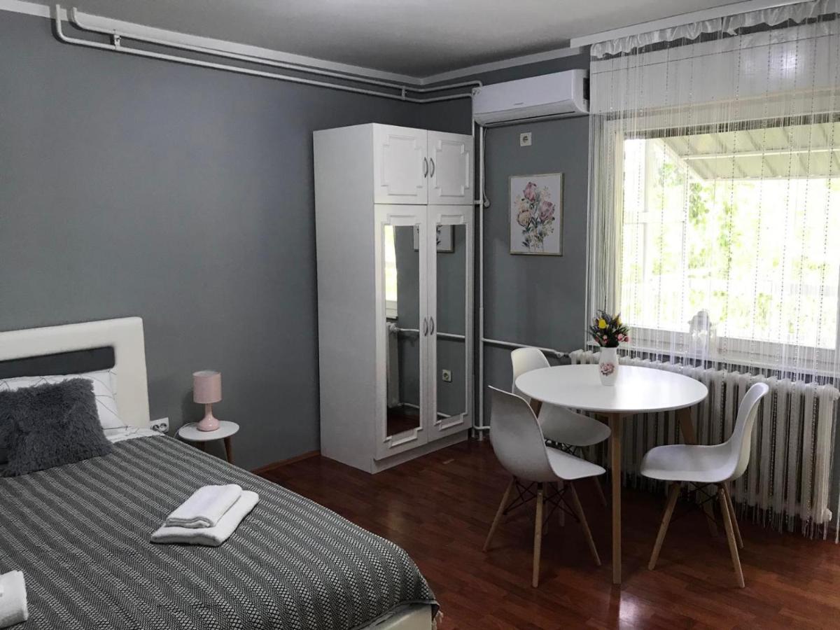 Apartman Studio Pavle I Petra Sremski Karlovci Ngoại thất bức ảnh