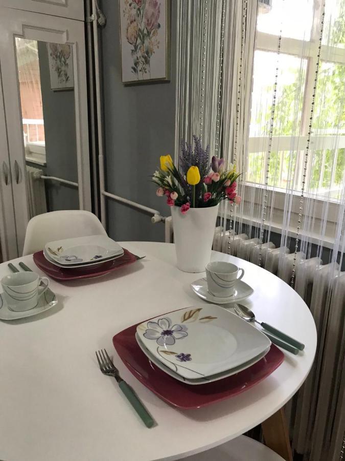 Apartman Studio Pavle I Petra Sremski Karlovci Ngoại thất bức ảnh