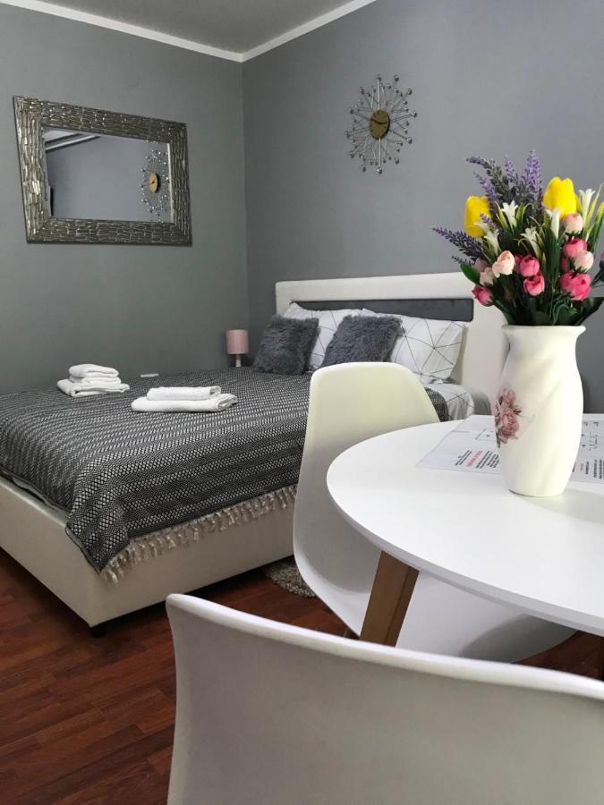 Apartman Studio Pavle I Petra Sremski Karlovci Ngoại thất bức ảnh