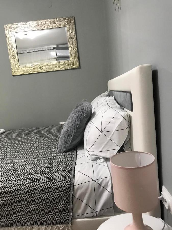 Apartman Studio Pavle I Petra Sremski Karlovci Ngoại thất bức ảnh