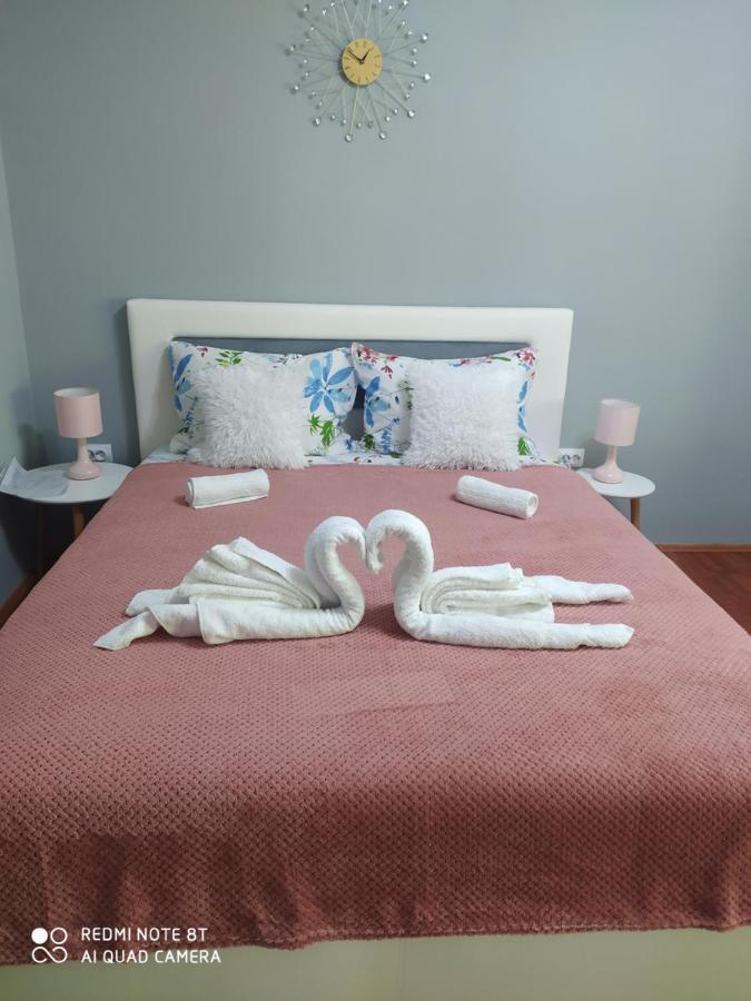 Apartman Studio Pavle I Petra Sremski Karlovci Ngoại thất bức ảnh