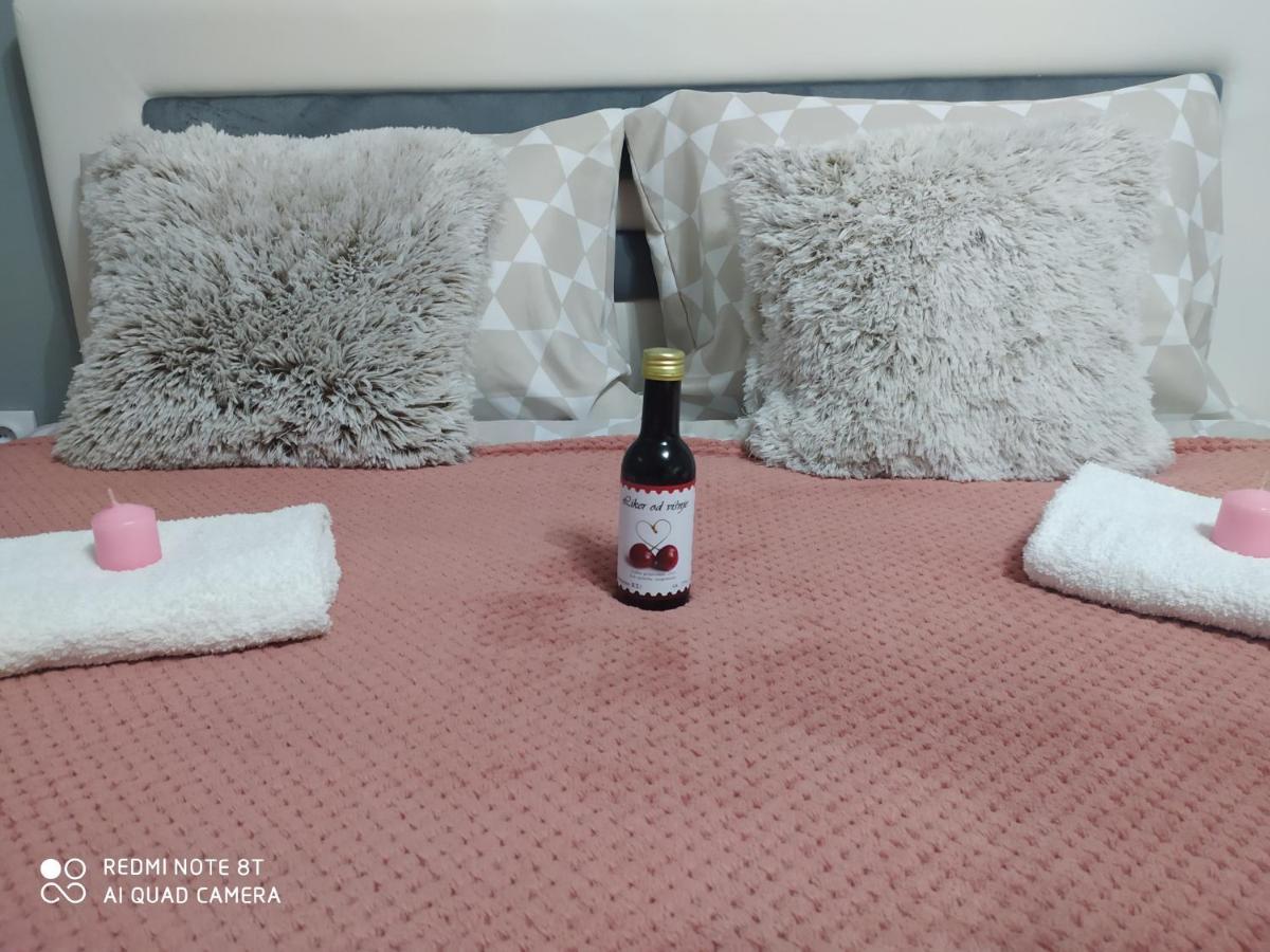 Apartman Studio Pavle I Petra Sremski Karlovci Ngoại thất bức ảnh