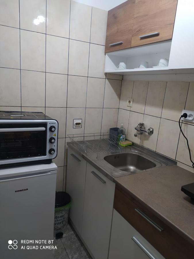 Apartman Studio Pavle I Petra Sremski Karlovci Ngoại thất bức ảnh